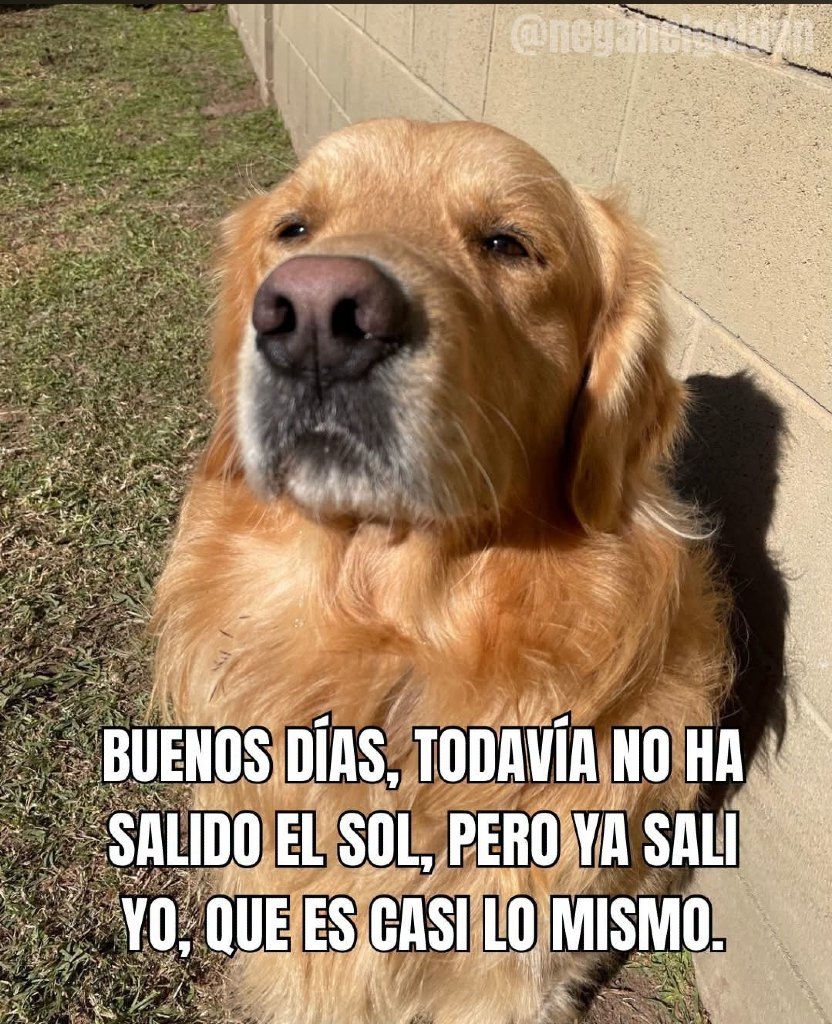 Eduardo Rodriguez