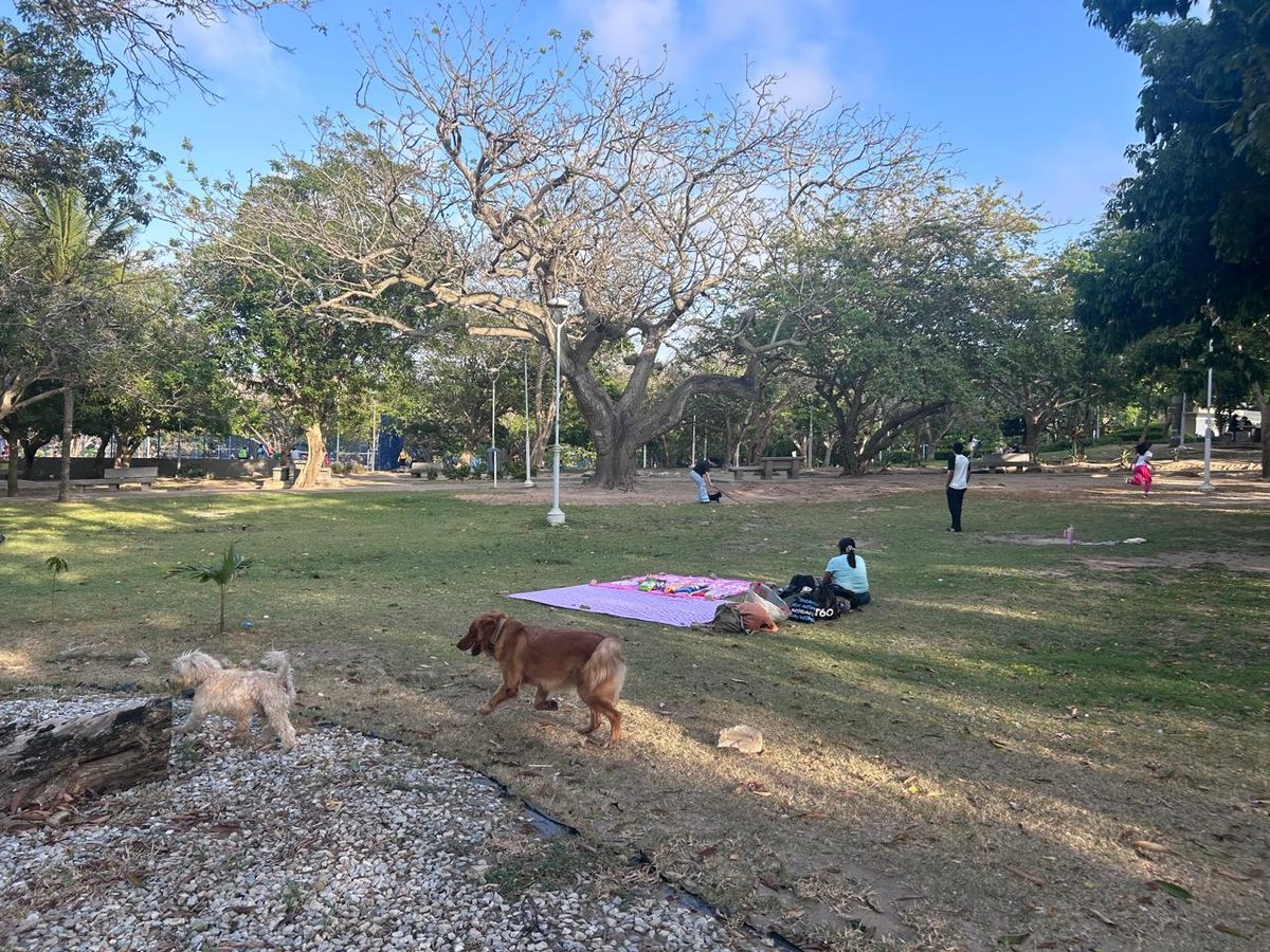 Parque Sagrado Corazón, Barranquilla