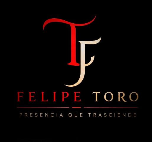 Luis Felipe Toro  Silva